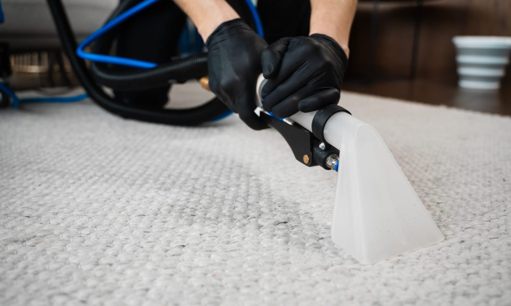 Using extractor to wash off the carpet from dust and stains. Extractor washing of carpet. Cleaner is using extractor to clean the carpet at home